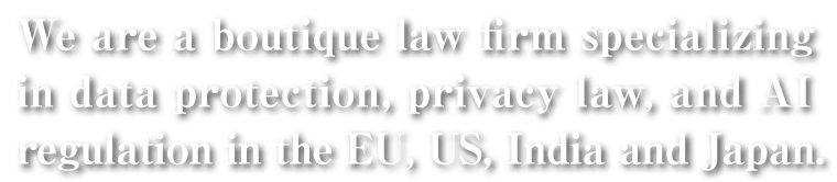 We are a boutique law firm specializing in data protection, privacy law, and AI regulation in the US, EU, UK, China, and Japan.